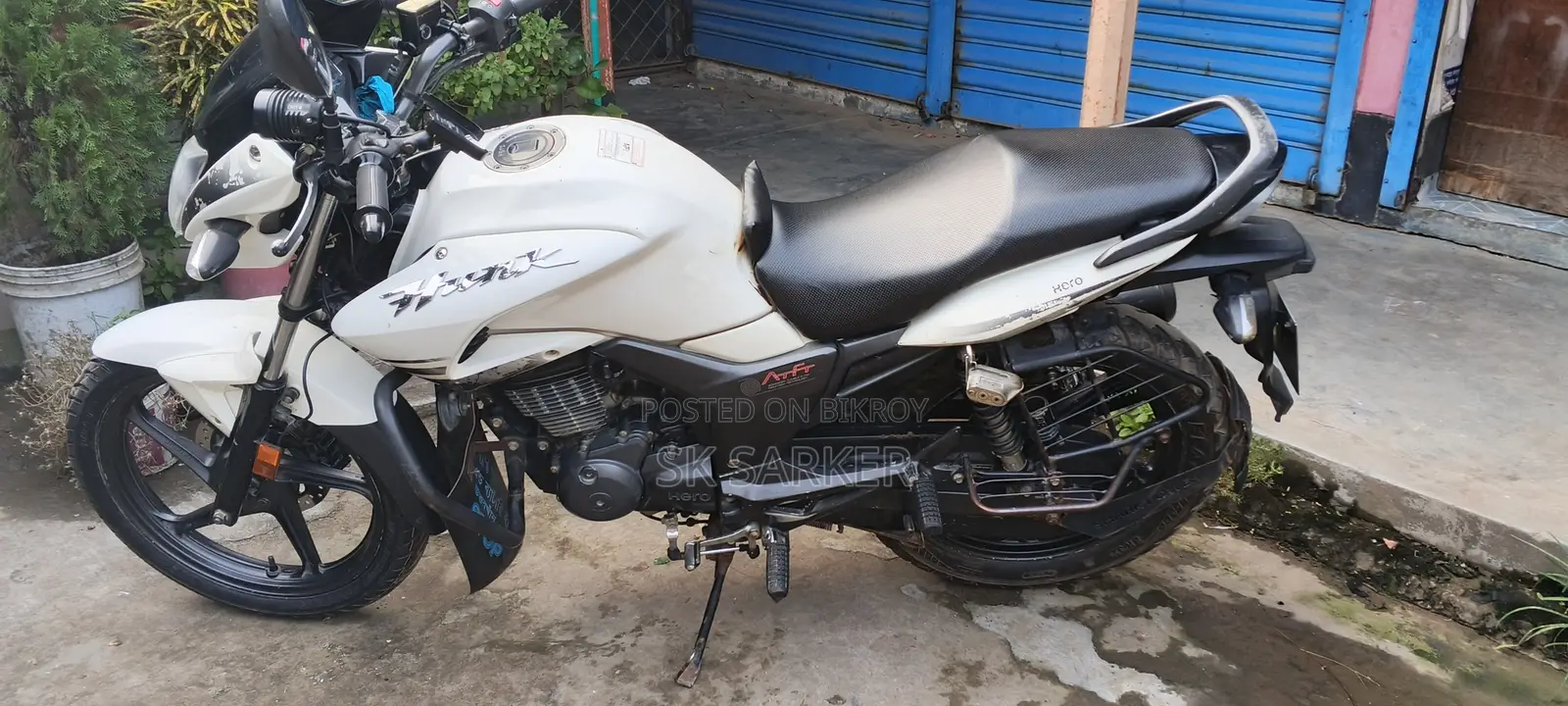 হিরো হাঙ্ক ২০১৯ সাদা
