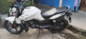 হিরো হাঙ্ক ২০১৯ সাদা