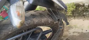 হিরো হাঙ্ক ২০১৯ সাদা