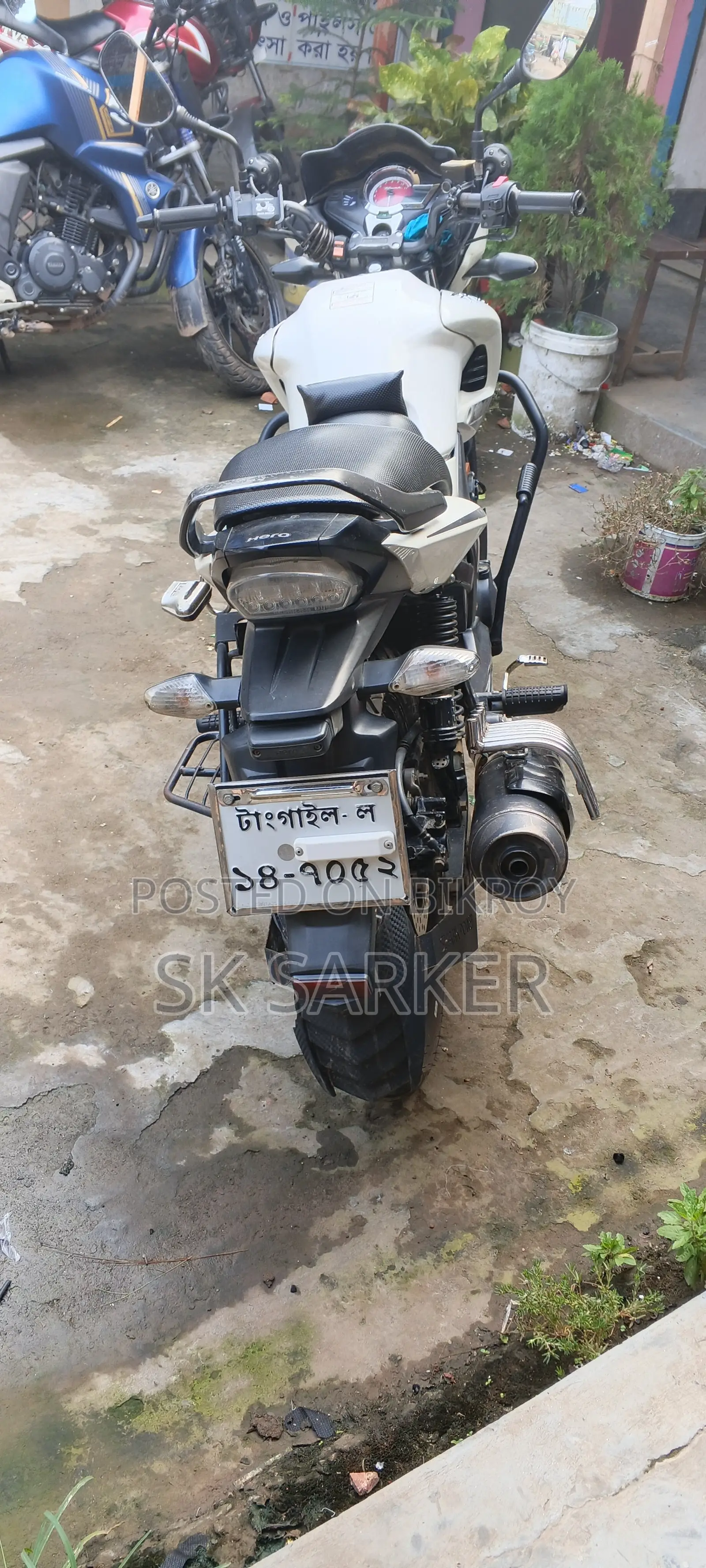 হিরো হাঙ্ক ২০১৯ সাদা