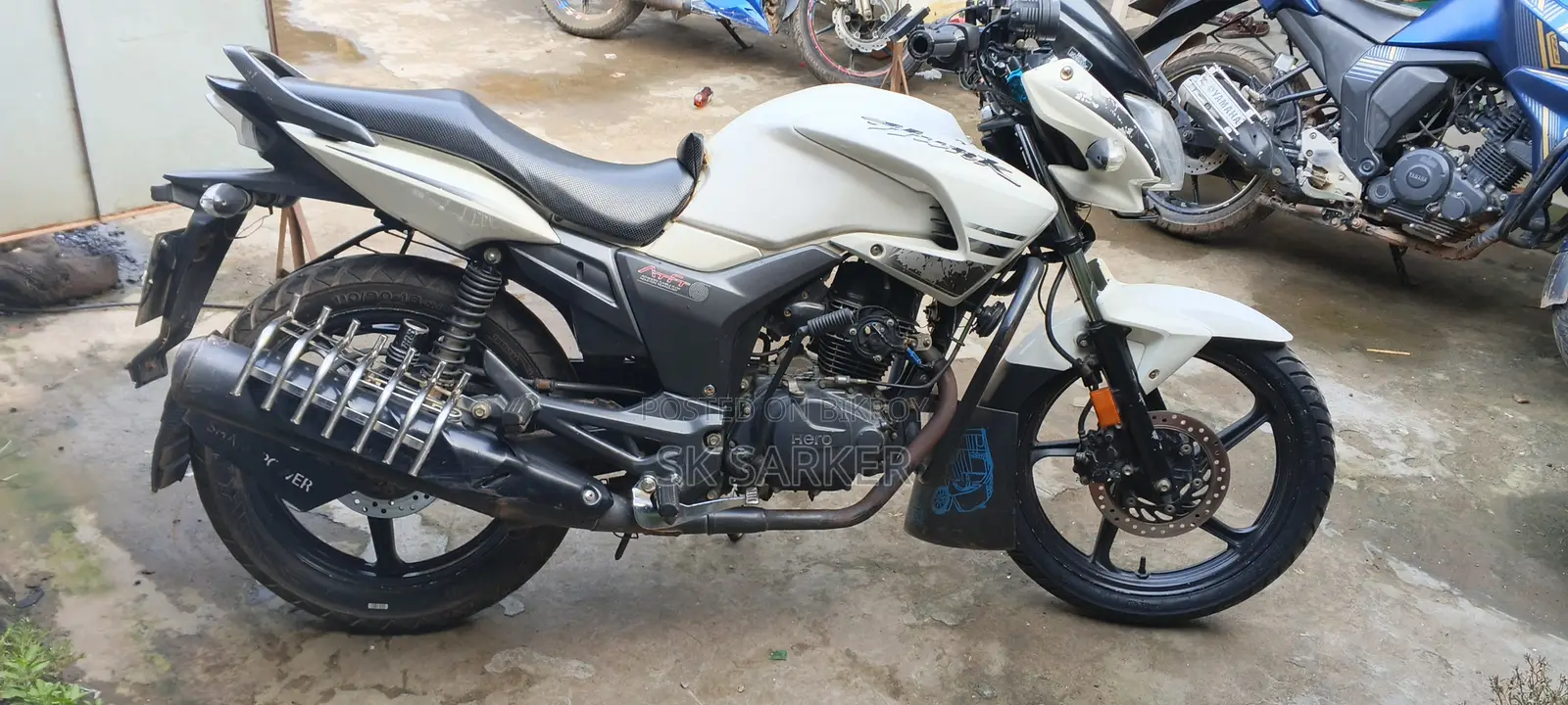 হিরো হাঙ্ক ২০১৯ সাদা