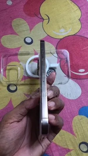 Apple iPhone 16 Pro Max ২৫৬ জিবি রোজ গোল্ড