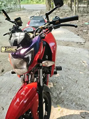 TVS Apache RTR 160 4V 2020 Red