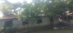7 Bedroom House in Nobogram Road for sale