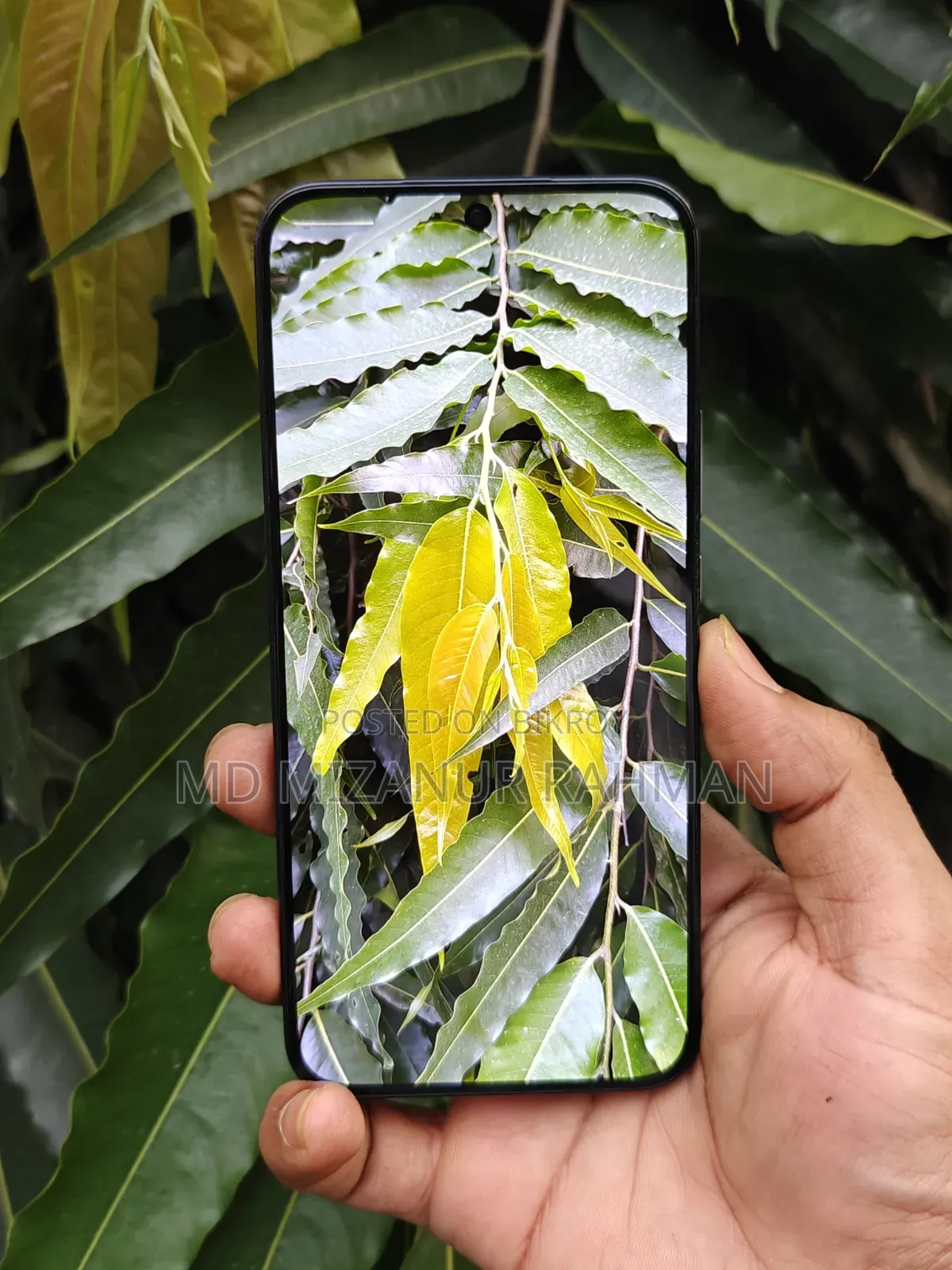 Huawei nova 12s 256 GB Black