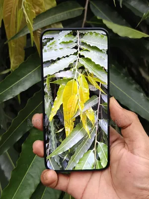 Huawei nova 12s 256 GB Black