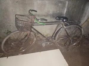 Ponix Cycle