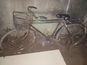 Ponix Cycle