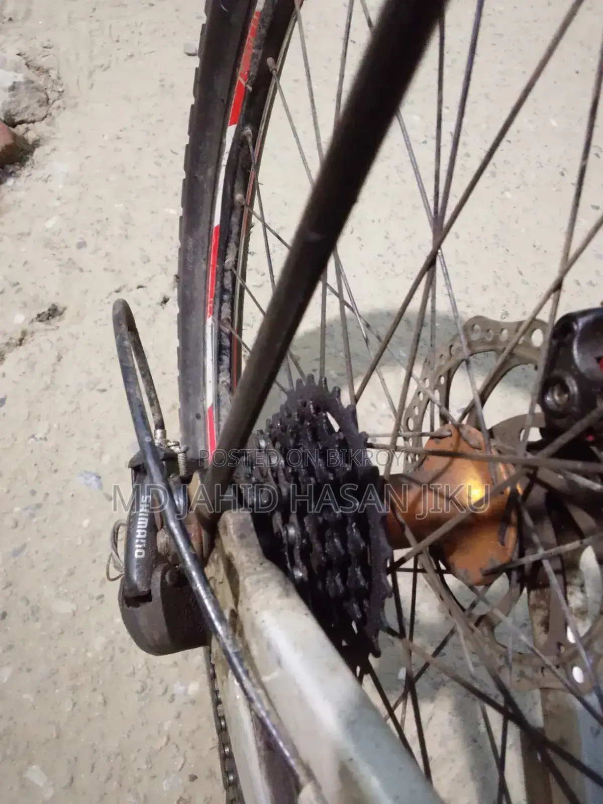 Selling Phoenix bicycle urgently for money