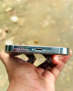 Apple iPhone 14 Pro Max 128 GB Silver