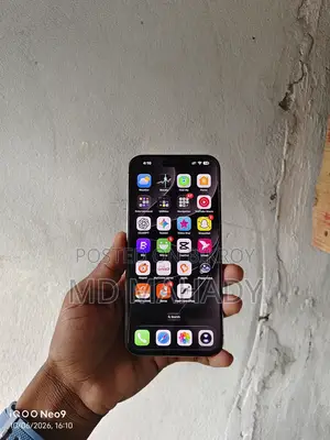 Apple iPhone 15 Pro Max 256 GB Gray