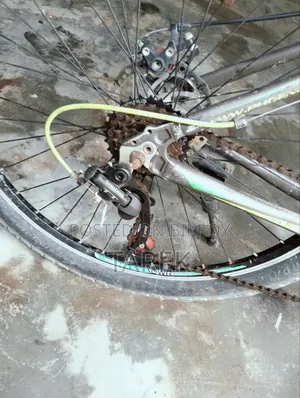 Good Bicycle