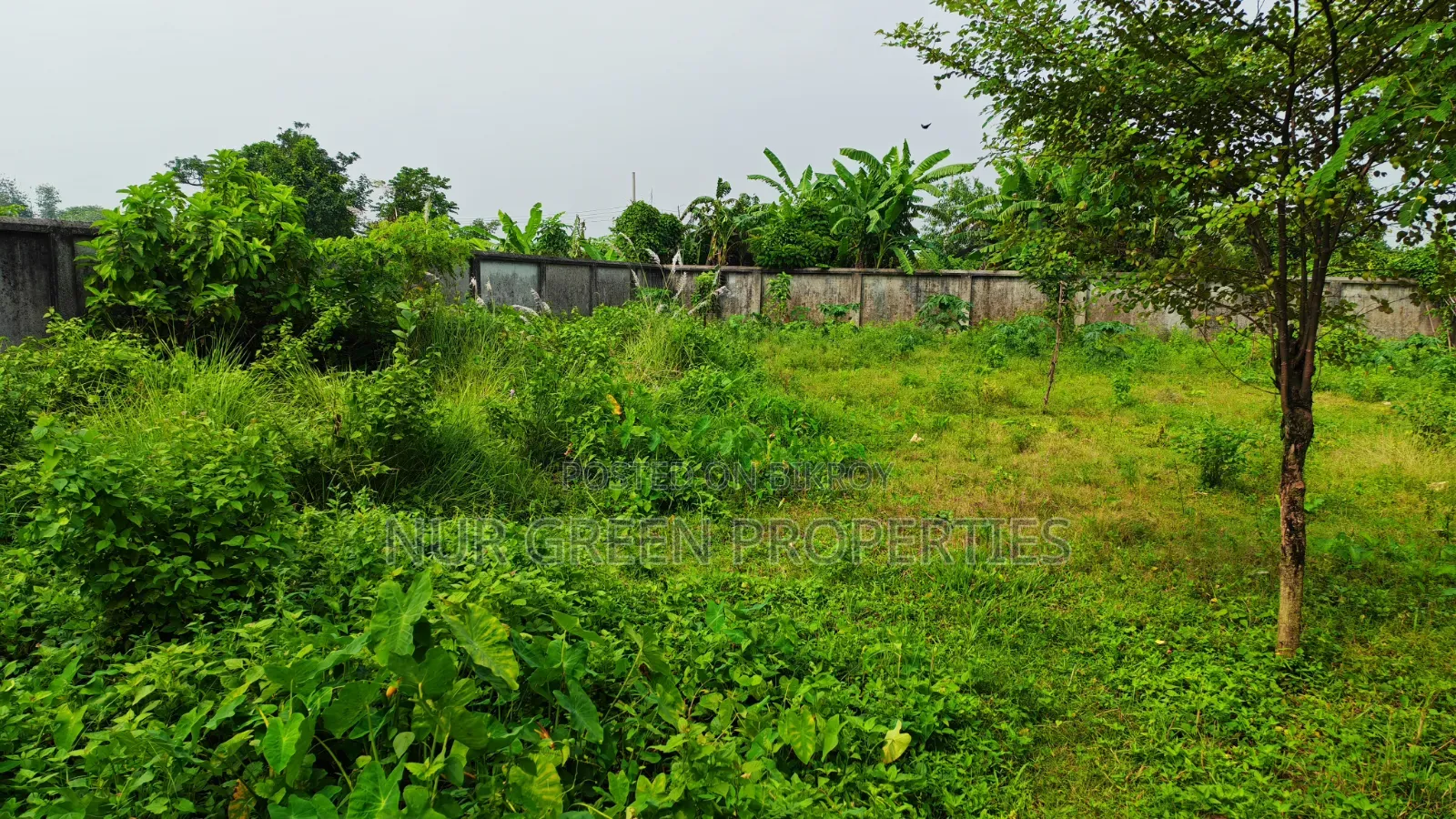 কনার দক্ষিণমুখী ৩ কাঠা প্লট বিক্রি করা হবে