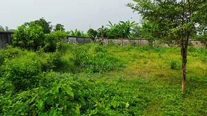 কনার দক্ষিণমুখী ৩ কাঠা প্লট বিক্রি করা হবে