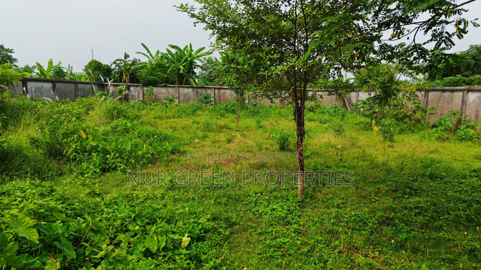 কনার দক্ষিণমুখী ৩ কাঠা প্লট বিক্রি করা হবে