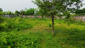 কনার দক্ষিণমুখী ৩ কাঠা প্লট বিক্রি করা হবে
