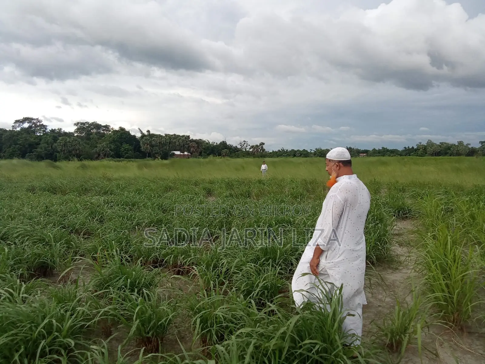 পূর্বাচল এ 10 কাঠা জমি বিক্রির জন্য