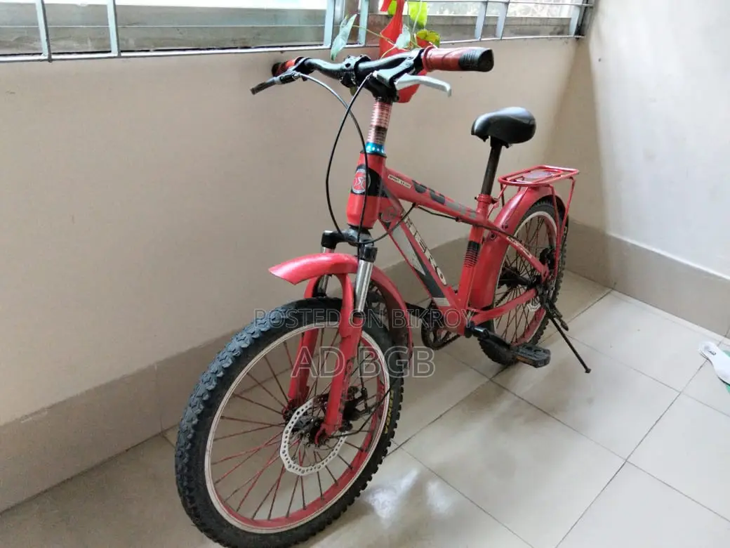 Used Bicycle