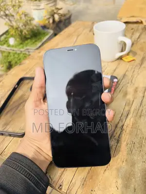 অ্যাপল আইফোন ১২ প্রো ম্যাক্স ১২৮ জিবি নীল