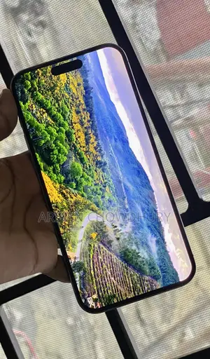 Apple iPhone 15 Pro Max 256 GB Gray