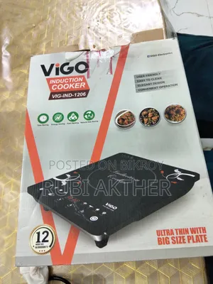 Electric Gas Stove