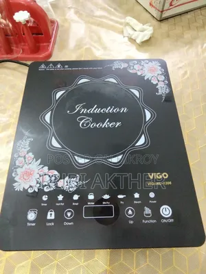 Electric Gas Stove