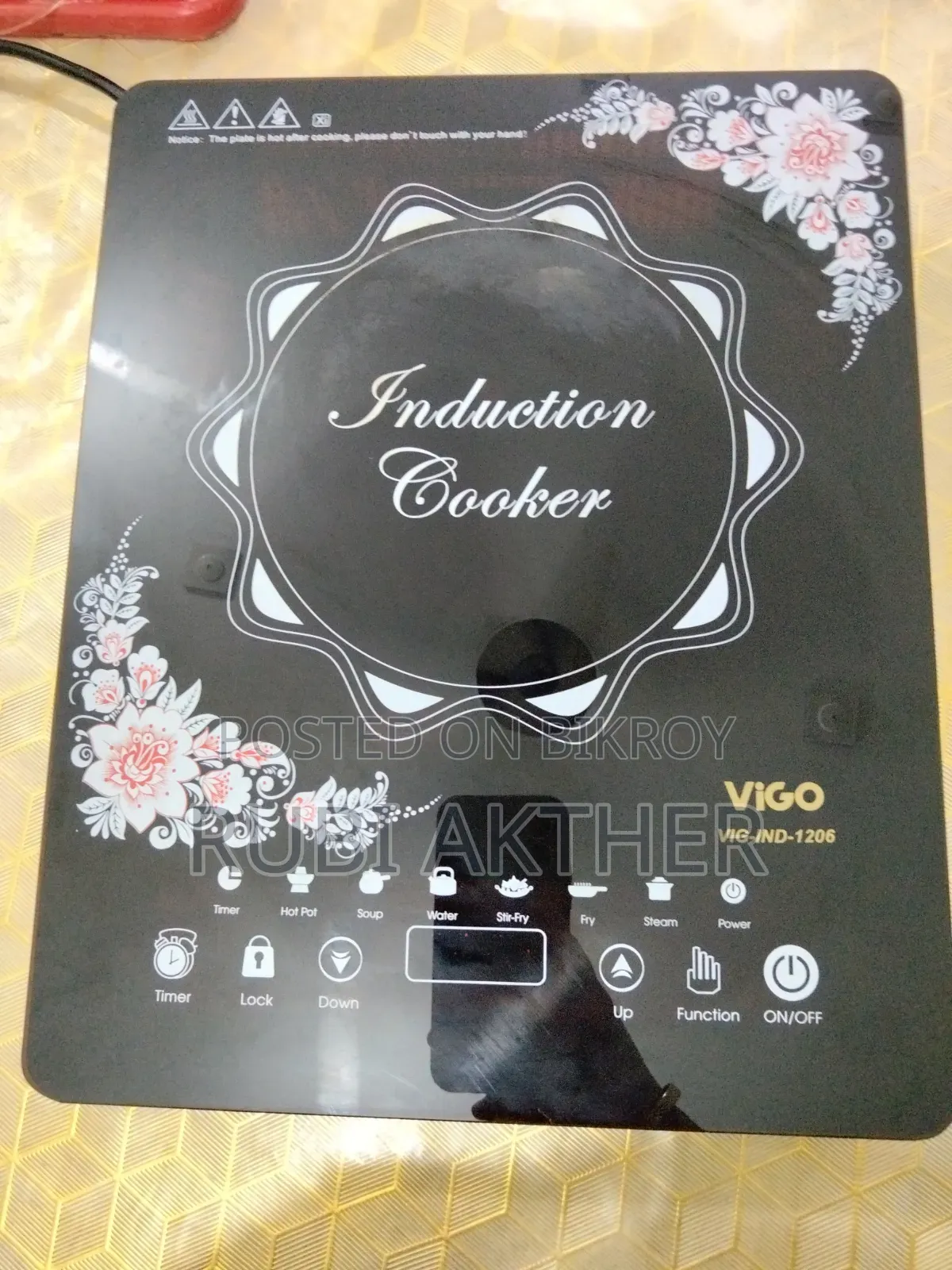 Electric Gas Stove