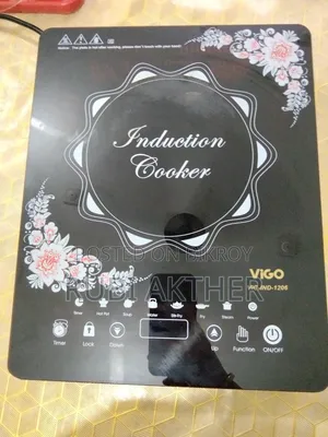 Electric Gas Stove