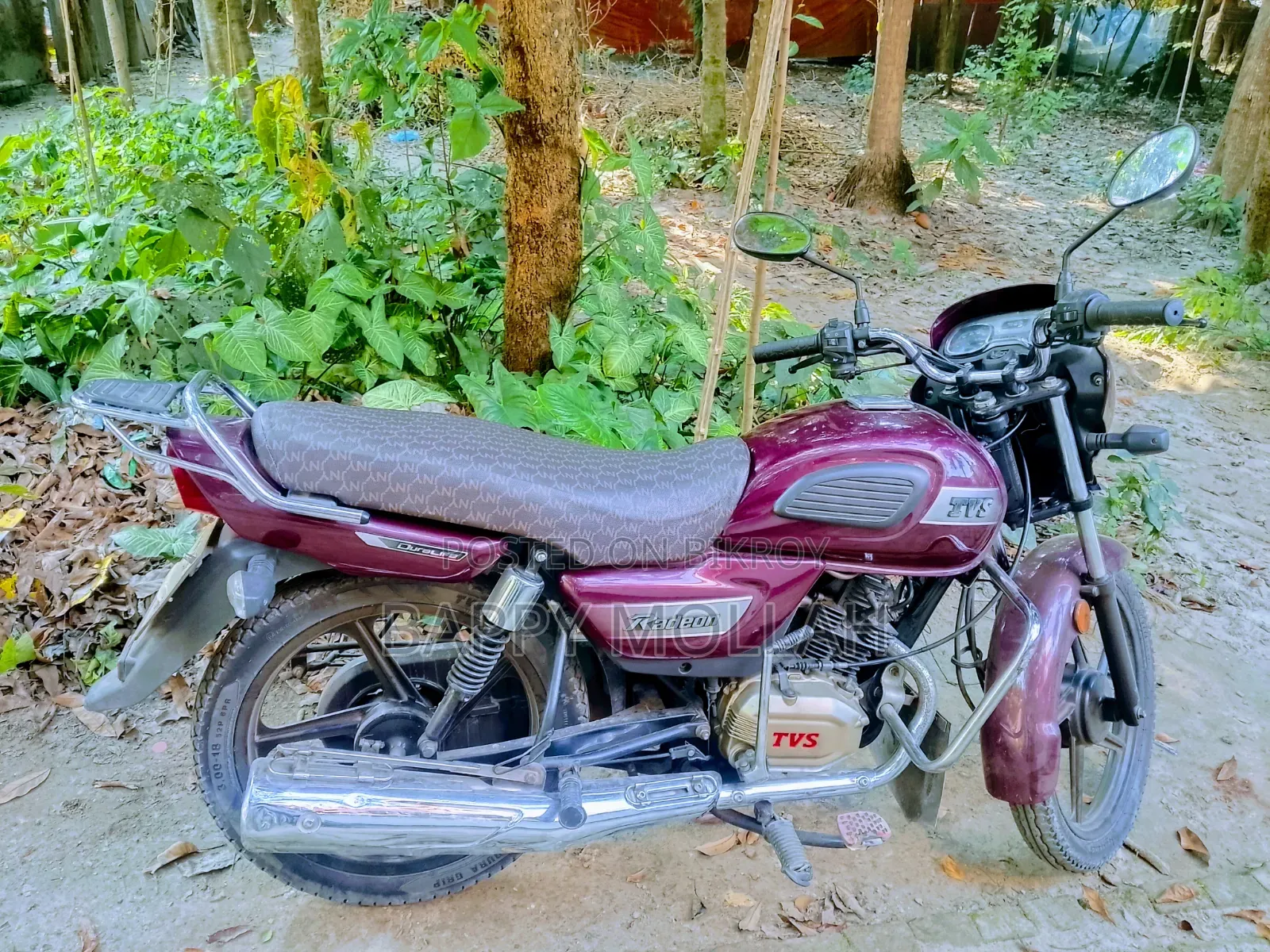 টিভিএস রেডন ২০২৩ বাদামী