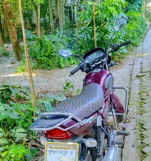 টিভিএস রেডন ২০২৩ বাদামী