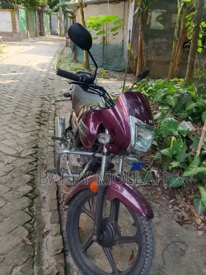 টিভিএস রেডন ২০২৩ বাদামী