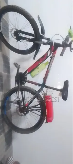 Non Gear Bicycle