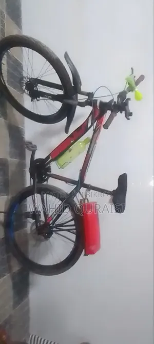 Non Gear Bicycle