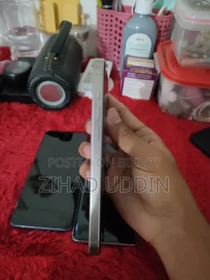 নিউ অ্যাপল আইফোন ১৫ প্রো ম্যাক্স ২৫৬ জিবি সিলভার