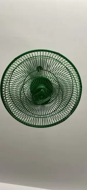 অসাধারণ ভিসন নেট ফ্যান বাতাস ভালো ফ্রেশ কন্ডিশন