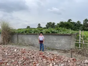 আশুলিয়া মডেল টাউন আমিন মোহাম্মদ