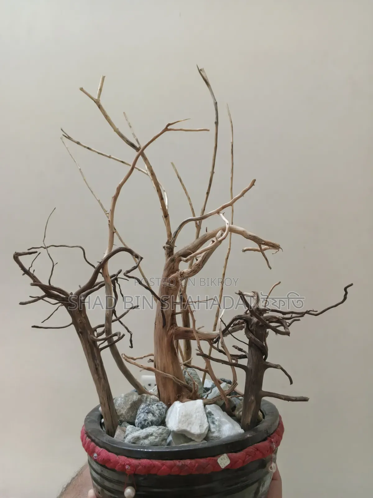 ড্রিফট উড