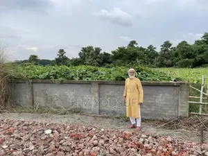 আশুলিয়া মডেল টাউন আমিন মোহাম্মদ