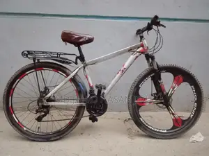 Phoenix Bicycle