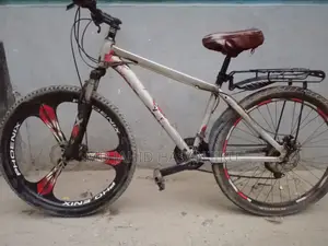 Phoenix Bicycle