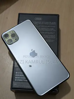 Apple iPhone 11 Pro Max 256 GB Gray