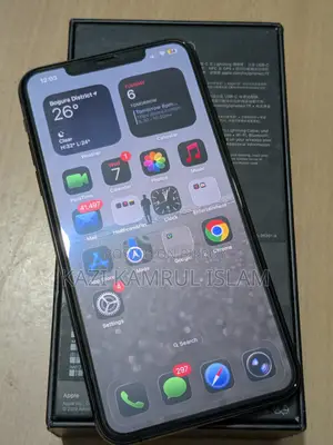 Apple iPhone 11 Pro Max 256 GB Gray