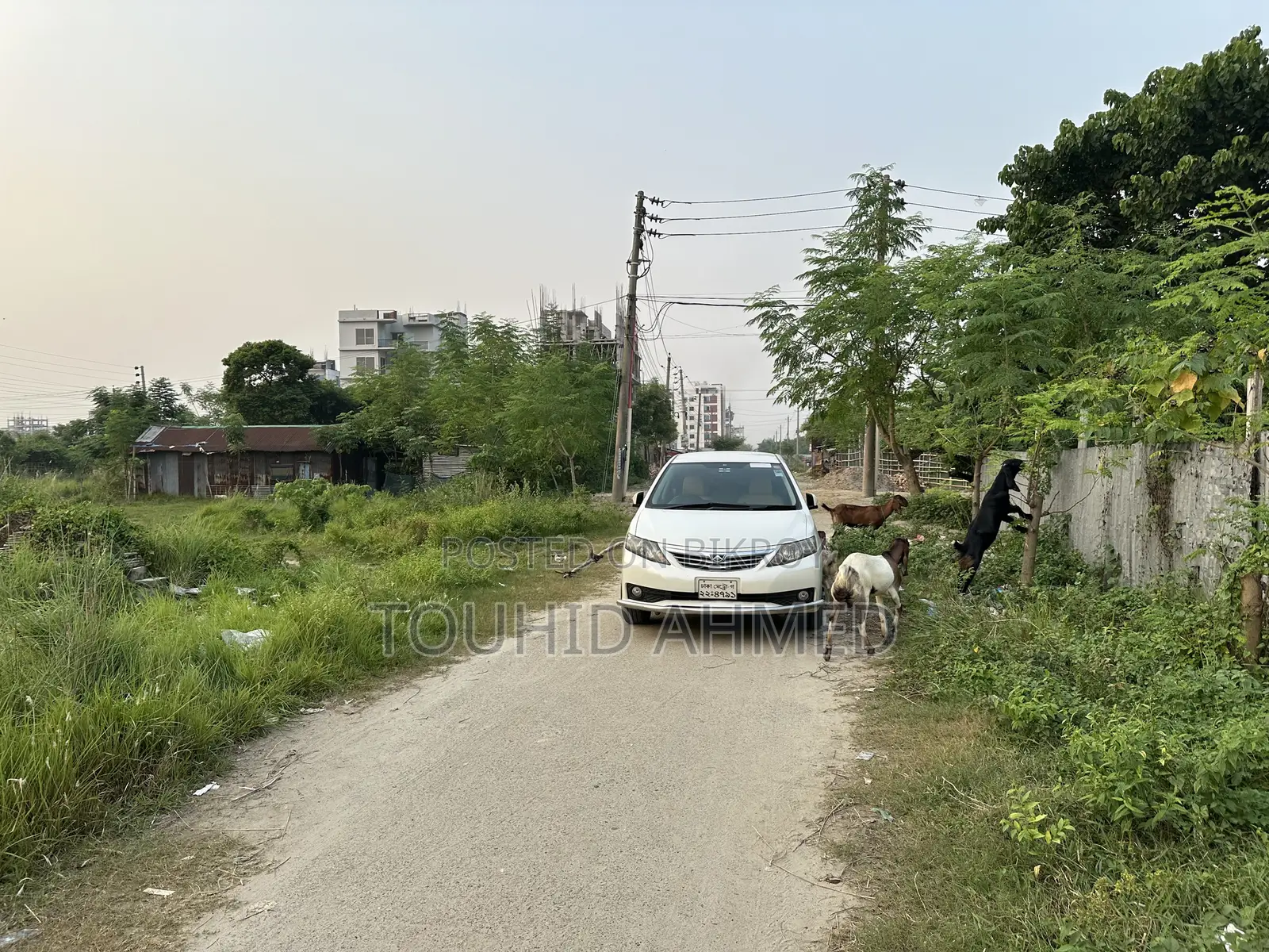 Toyota Allion 2011 Pearl