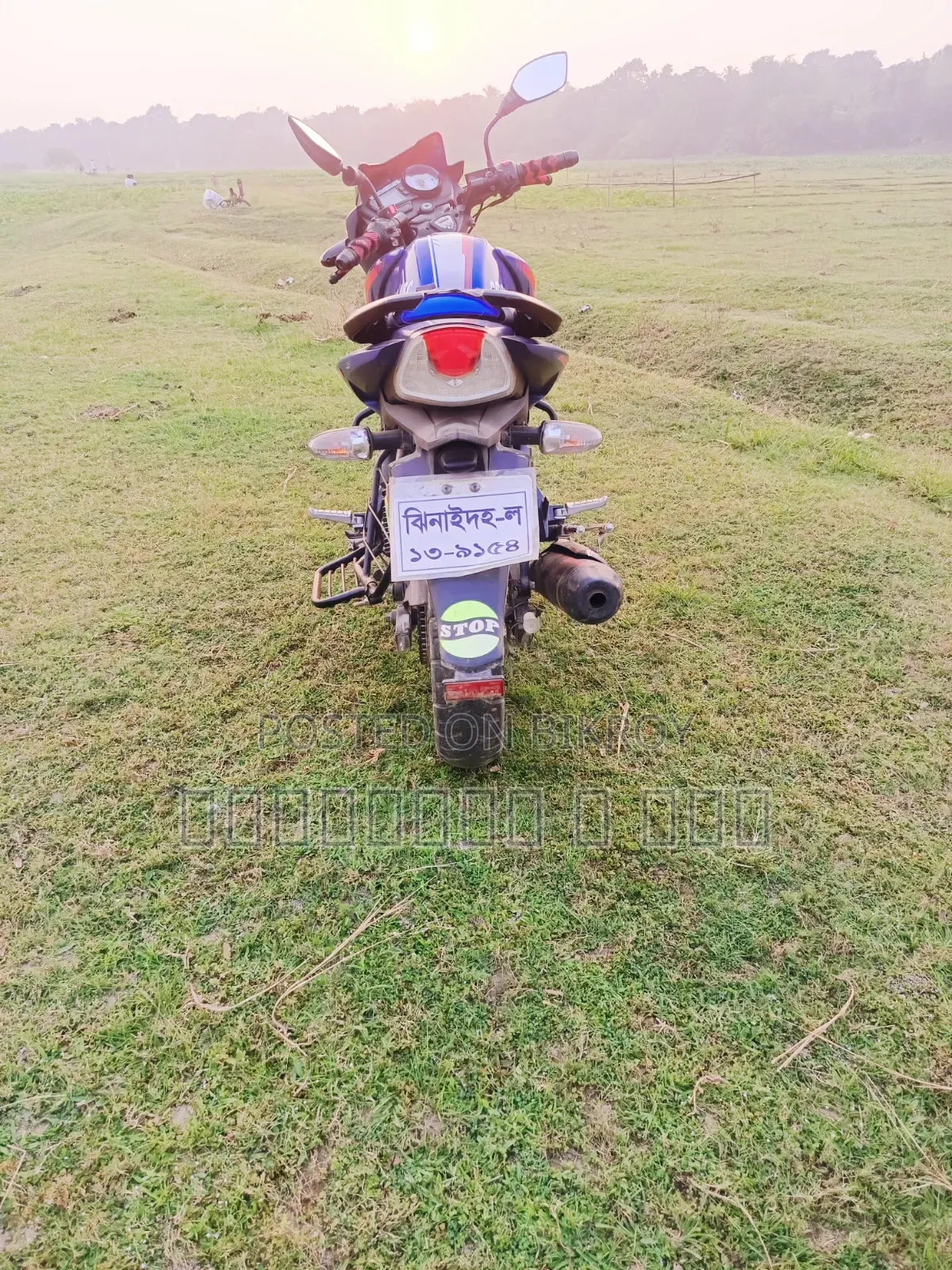 TVS Apache RTR 160 2V 2022 Blue