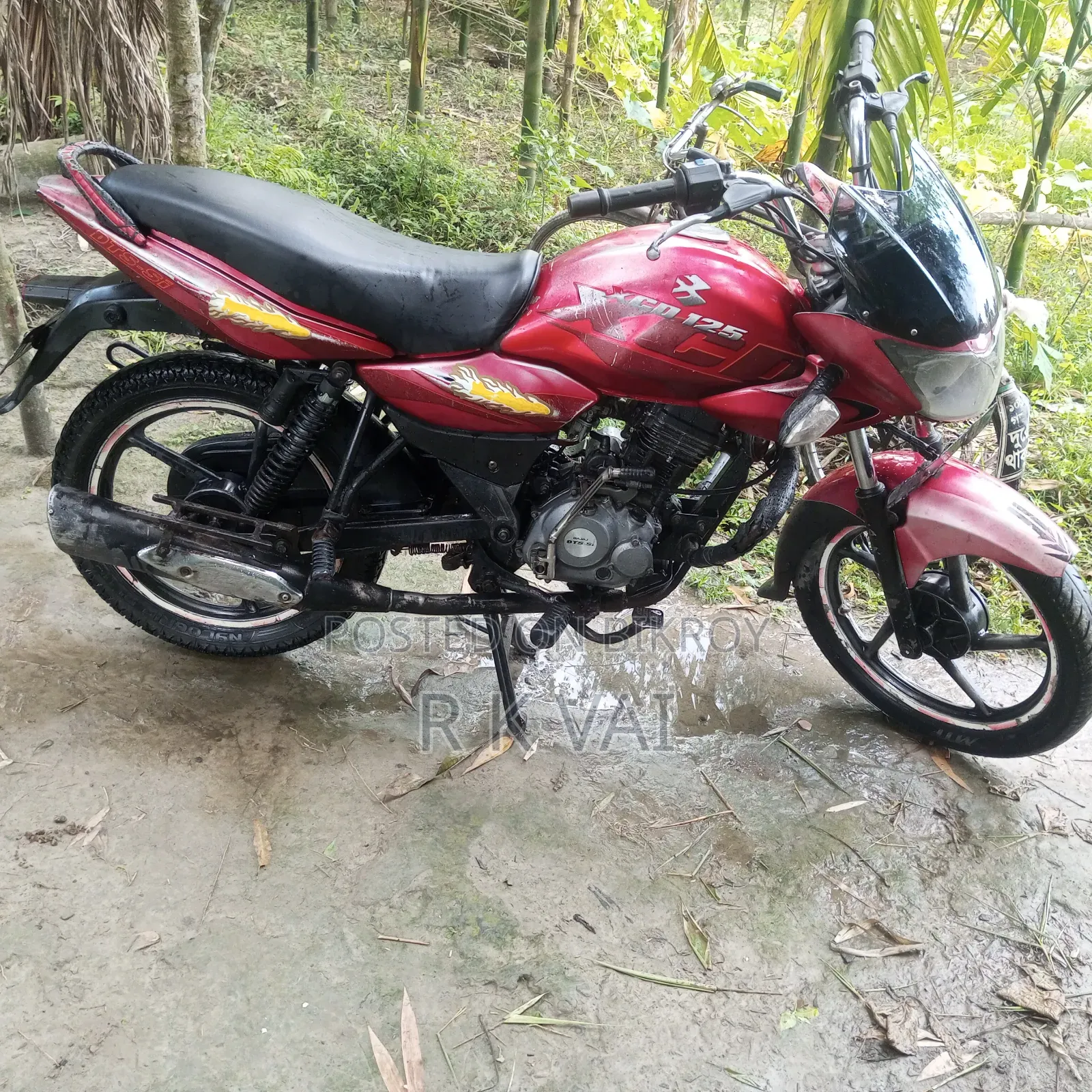 বাজাজ এক্সসিডি ১২৫ ২০১৪ রেড