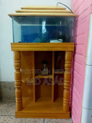 Aquarium for Sale