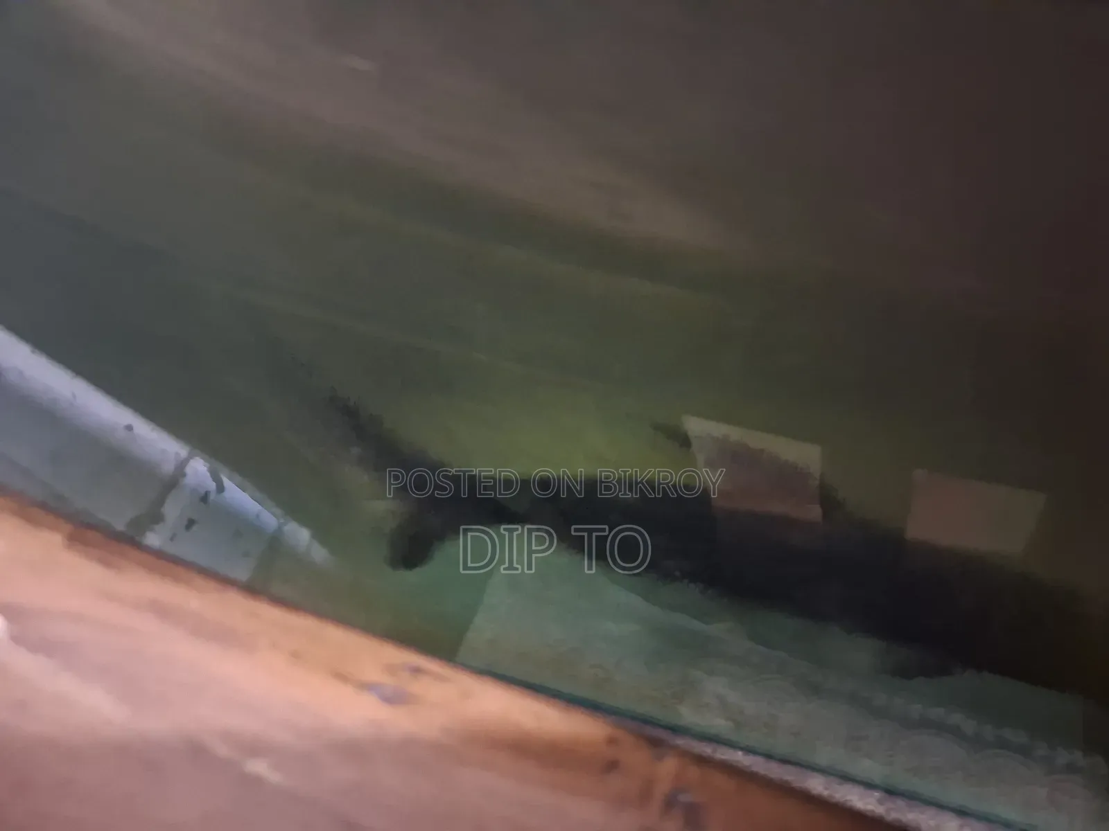 Aquarium Shark