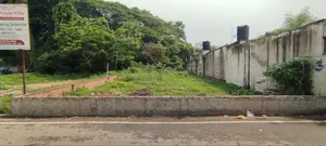 বোটানিক্যাল গার্ডেনমুখী আয়তাকার প্লট বিক্রয়