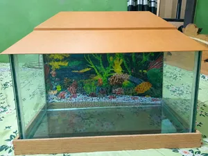 অ্যাকুরিয়াম সম্পূর্ণ সেট বিক্রি করা হবে