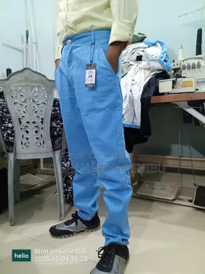 Formal Office Pants